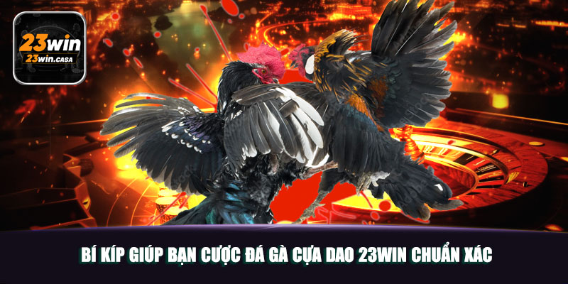 Bí Kíp Giúp Bạn Cược Đá Gà Cựa Dao 23WIN Chuẩn Xác