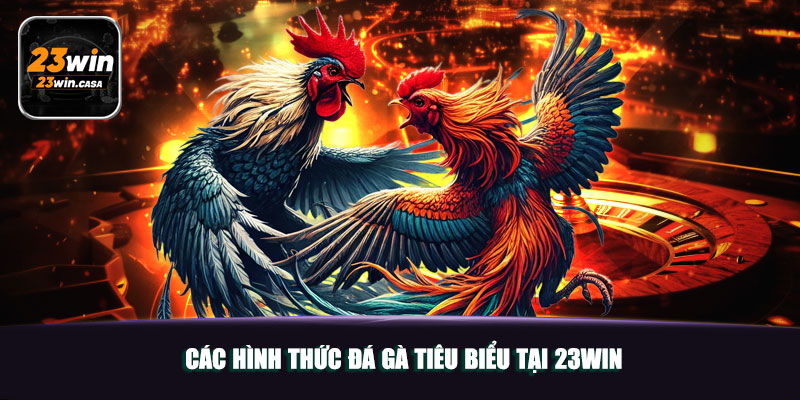 Các Hình Thức Đá Gà Tiêu Biểu Tại 23win