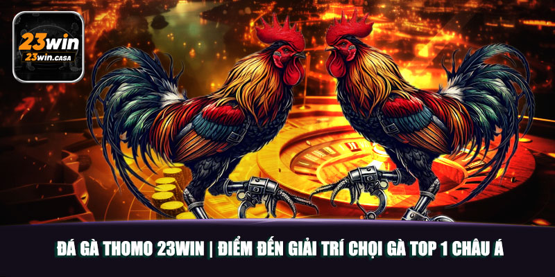 Đá Gà Thomo 23win | Điểm Đến Giải Trí Chọi Gà Top 1 Châu Á