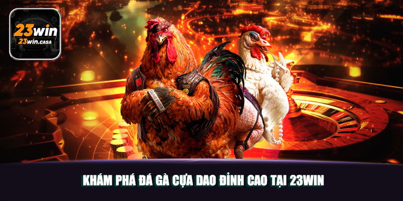 Khám Phá Đá Gà Cựa Dao Đỉnh Cao Tại 23WIN