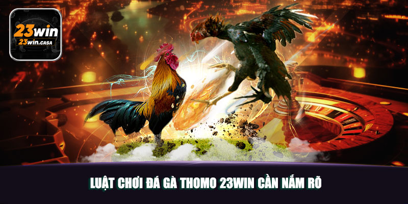 Luật chơi đá gà Thomo 23win cần nắm rõ