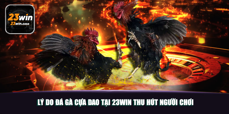 Lý Do Đá Gà Cựa Dao Tại 23WIN Thu Hút Người Chơi
