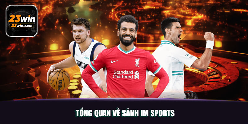 Tổng quan về sảnh IM Sports