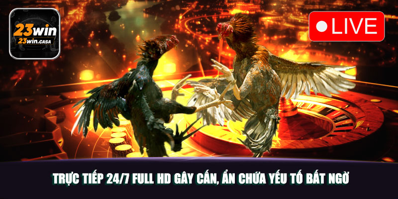 Trực tiếp 24/7 full HD gây cấn, ẩn chứa yếu tố bất ngờ